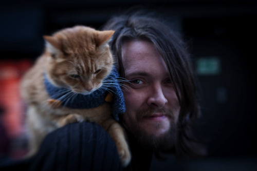 awkwardsituationist:  after an apparent attack by a fox, a street cat named bob was found injured and curled up in the hallway outside of a support housing flat in tottenham were james bowen, a recovering heroin addict and homeless busker, was staying.