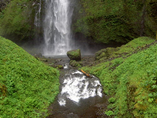 lilh0bbit:Multnomah Falls, 2005