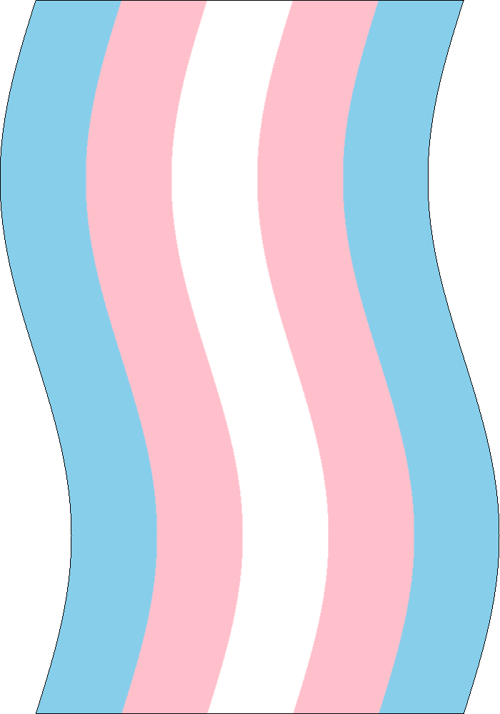 Jumbo Transgender Flag