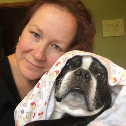 <p>Getting ready to teach our skype lessons for the day. #fiddleteacher #bostonterrier #bostonterrierlove #nofilterjustblanket  (at Fiddlestar)</p>