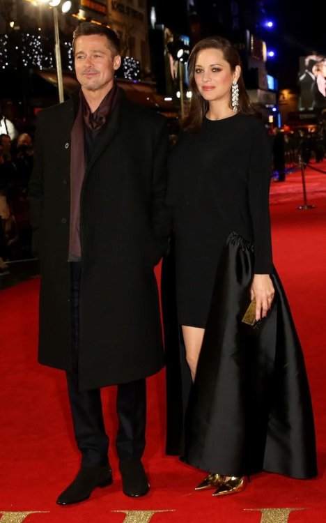 dbarraja:Brad Pitt &amp; Marion Cotillard at the “Allied” premiere in London (November 21)