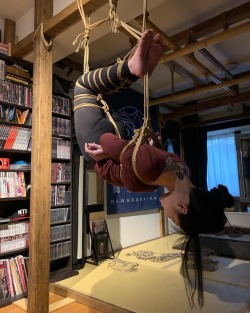 thevertigonetwork:    Kinbaku &amp; Photo Naka AkiraModel Shizuki Iroha