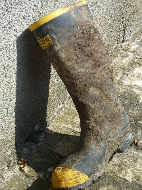 rubberbaudou:Bottes “Bison mudmaster”, qui sèchent au soleil après le travail du vacher dans le fumi