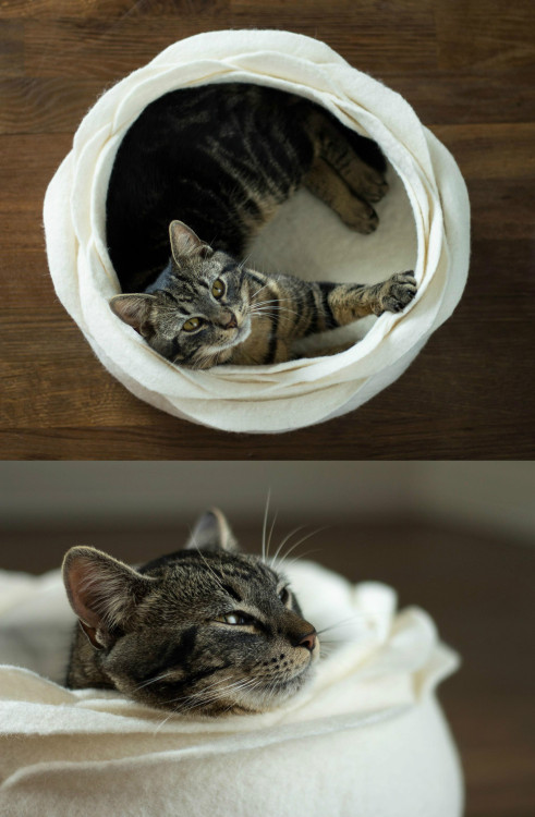 acepalindrome:sosuperawesome:Handmade Felt Cat Caves, Beds and Baskets by elevele on EtsyBrowse more