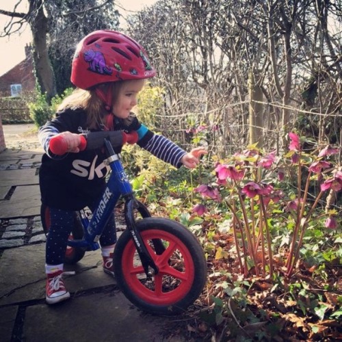 hm7: “#spring has sprung. #bikes and #flowers are the two things a girl needs #bmx #Cyclingphoto #St