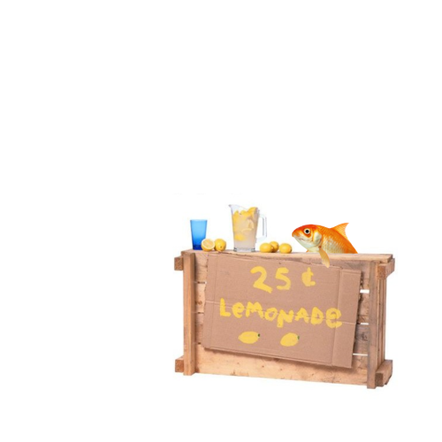 i-am-a-fish: coolidontunderstand:  i-am-a-fish:   puzzledrodent:   i-am-a-fish:  Ill take one, keep the change.     Hello? 911? Yes, there is a fish here selling lemonade without a permit   