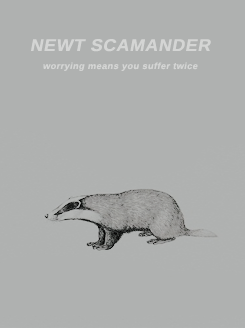 rosetylecr:   character posters: newt scamander (fantastic beasts)