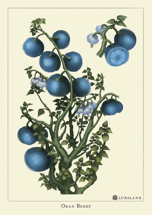 A couple of postcard prints I’ll be having at AX! Tried to render the berries in a scientific illust