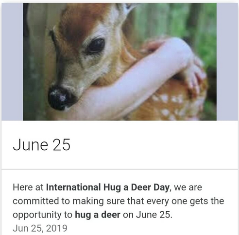Hug Your Fav Deers Today !