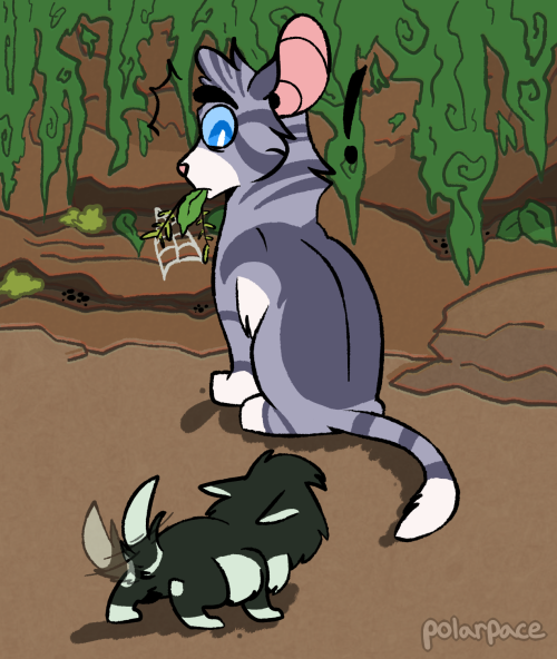 jayfeather is my favorite cat so of course i needed to draw something for this wcotwit&rsquo;s the s