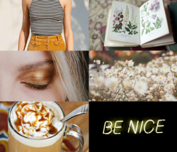 malfvoy:    hp aesthetics: hufflepuff “you