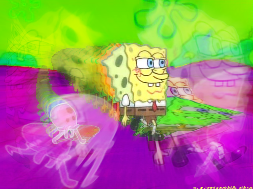 neatopicturesofspongebobdaily:  spong trails