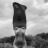 sergoisrael:
