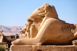 egyptianways:  Luxor