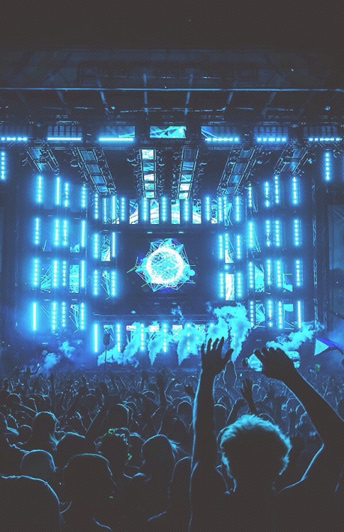 edmfamily