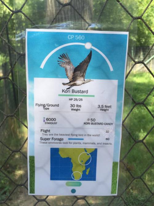 zookeeperproblems: Decided to jump on the Pokémon Go hype train at the zoo! Hey, if you can&r