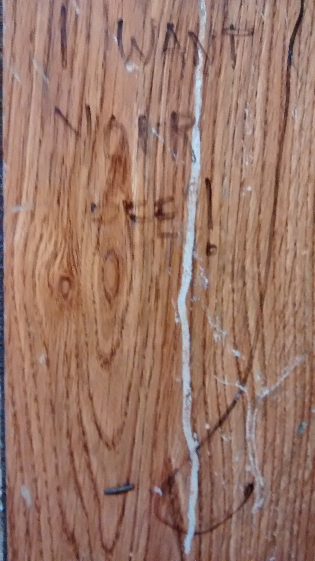 bijouworld:Just some of the piss graffiti from the Bijou Theater