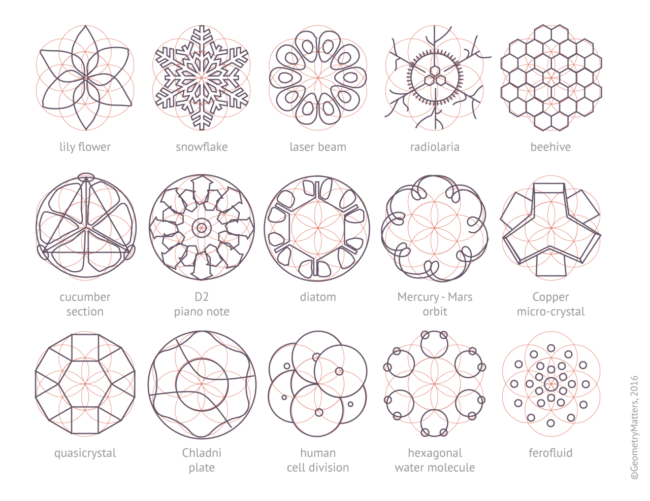 Geometry Matters — Various Nature Elements That Abide By Geometric