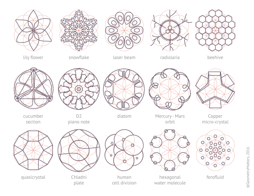 geometrymatters:Various nature elements that abide by geometric laws and construction patterns - upd