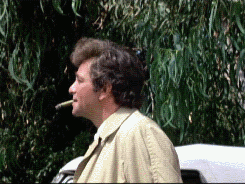 Columbo S05E03 - Identity Crisis (1975) #columbo#lieutenant columbo#peter falk#nelson brenner#patrick mcgoohan#identity crisis