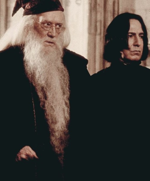 snapeaddict - I really think Severus deeply dislikes physical...