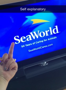 sayonaraseaworld:  eddie-vedder-is-god: 