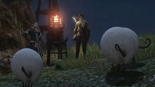 I was talking to this boy about his sheep and the lighting was just