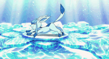 About The Eeveelutions Family