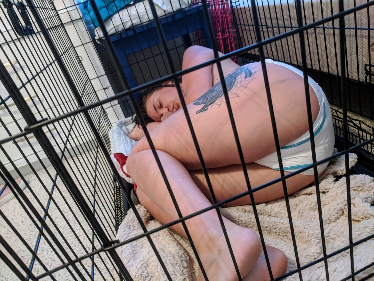 tolaymedown:found a nice spot to curl up and nap in my pull-up