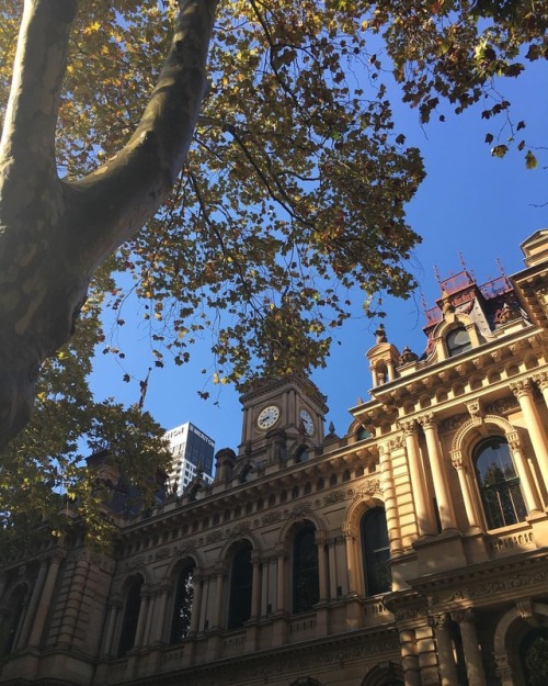 # ## #Autumn #sydneylife #Sydney (at Town Hall)
