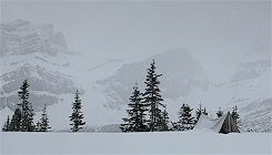 in-love-with-movies:Brokeback Mountain (USA - Canada, 2005)
