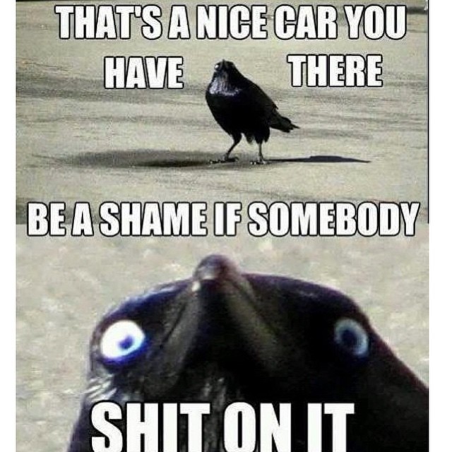 thecarmemes:Thanks for the submission eriiikk_! https://instagram.com/p/0JKGZsOuPk/