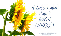   Buon Lunedì!  