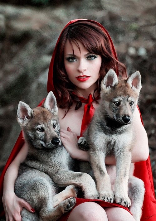 https://www.tumblr.com/blog/view/twiterreload/168752091430