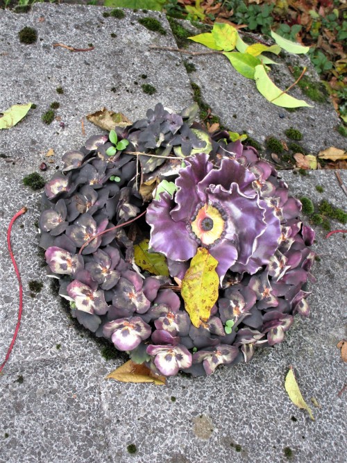 Ceramic grave decorations at Saint-Vincent Cemetery, Montmartre, ParisPhotos by Charles Reeza