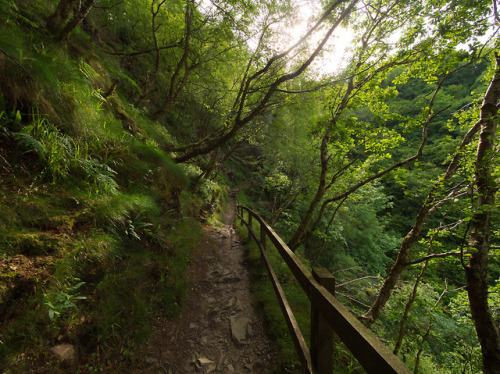 Porn photo 90377:  Dhoon Glen by jonas andersson   