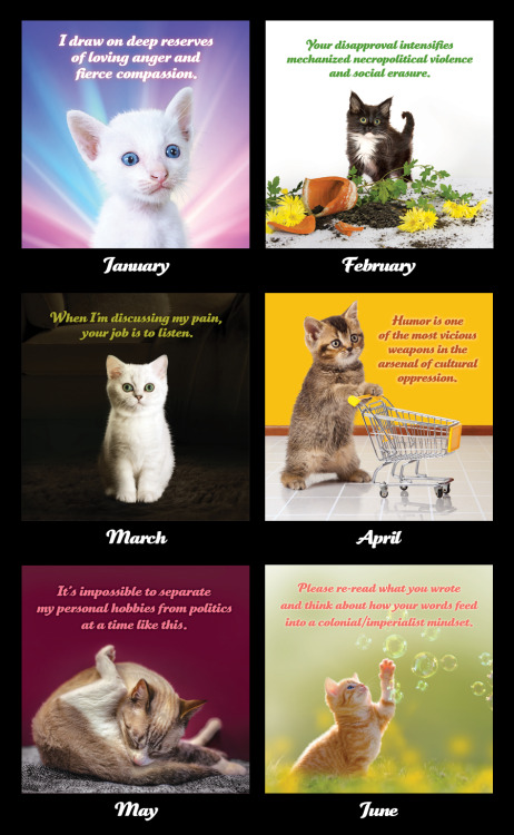 ANNOUNCING THE 2020 SOCIAL JUSTICE KITTENS CALENDARIt’s 2020, and a dozen all-new Social Justice Kit