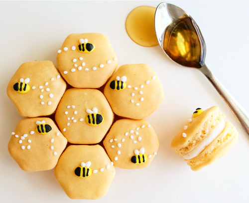 Sex goodfoodgrove:[Homemade] Honey Macarons pictures