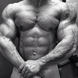 Muscle Motivation