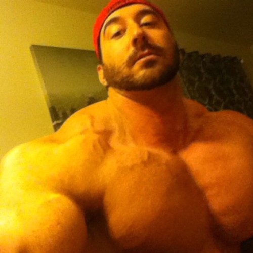 barbellsandbuttholes:  thick-sexy-muscle:  Craig Golias looking HUGE… look at that size difference!  6'3" and 330-350hp. No such thing as too big.