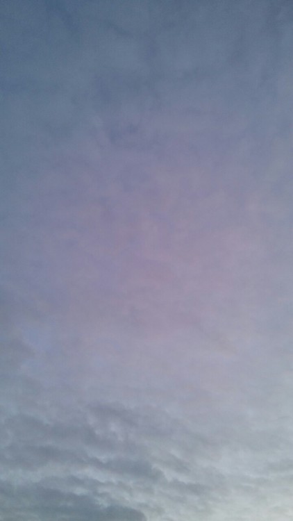 mothh-queen:  The sky reminded me of Monet. 