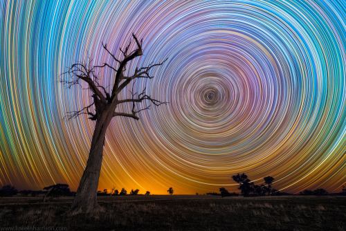 Stars Bursting In The Night SkyAustralian photographer Lincoln Harris collection ‘Star trails’, surr
