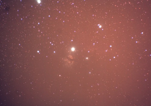 theastrokid:  Two photo’s I took last night of  Jupiter and the horse head nebula.Jupiter is at oppo