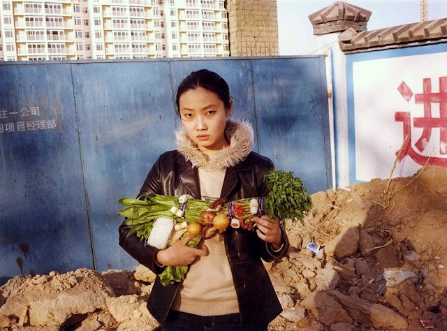 sm9k:  tsuyoshi ozawa (2002) mutton hot pot, beijing from the series vegetable weapons