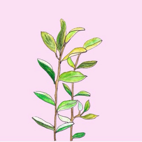 hello-thoughtfulcreations:  Really don’t know why I’m losing so many followers lately 💜 I really want you guys to like my page… What should I do ? Really need your advice #pants #pink #kawaii #tumblr #love #lovetrip #kindness #happiness #mindfulness
