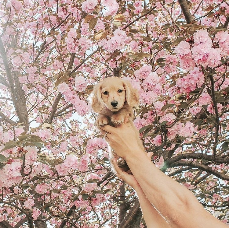 friendly-animals:  (Source)