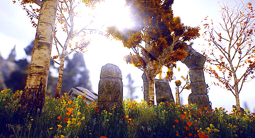 Hidden Heaven