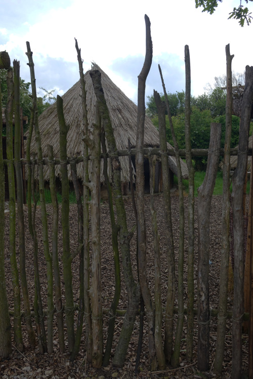 Prehistoric Village at The Yorkshire Museum of Farming, York, 22.5.16. Photo Batch 2