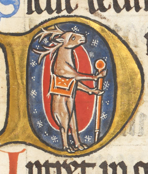 strider stagpsalter, England ca. 1220BL, Harley 5102, fol. 82r