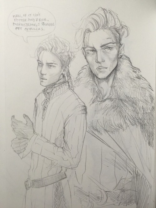 Entertaining the idea of a Durmstrang!AU in which Potter and Krum are best friends and dual seekers 